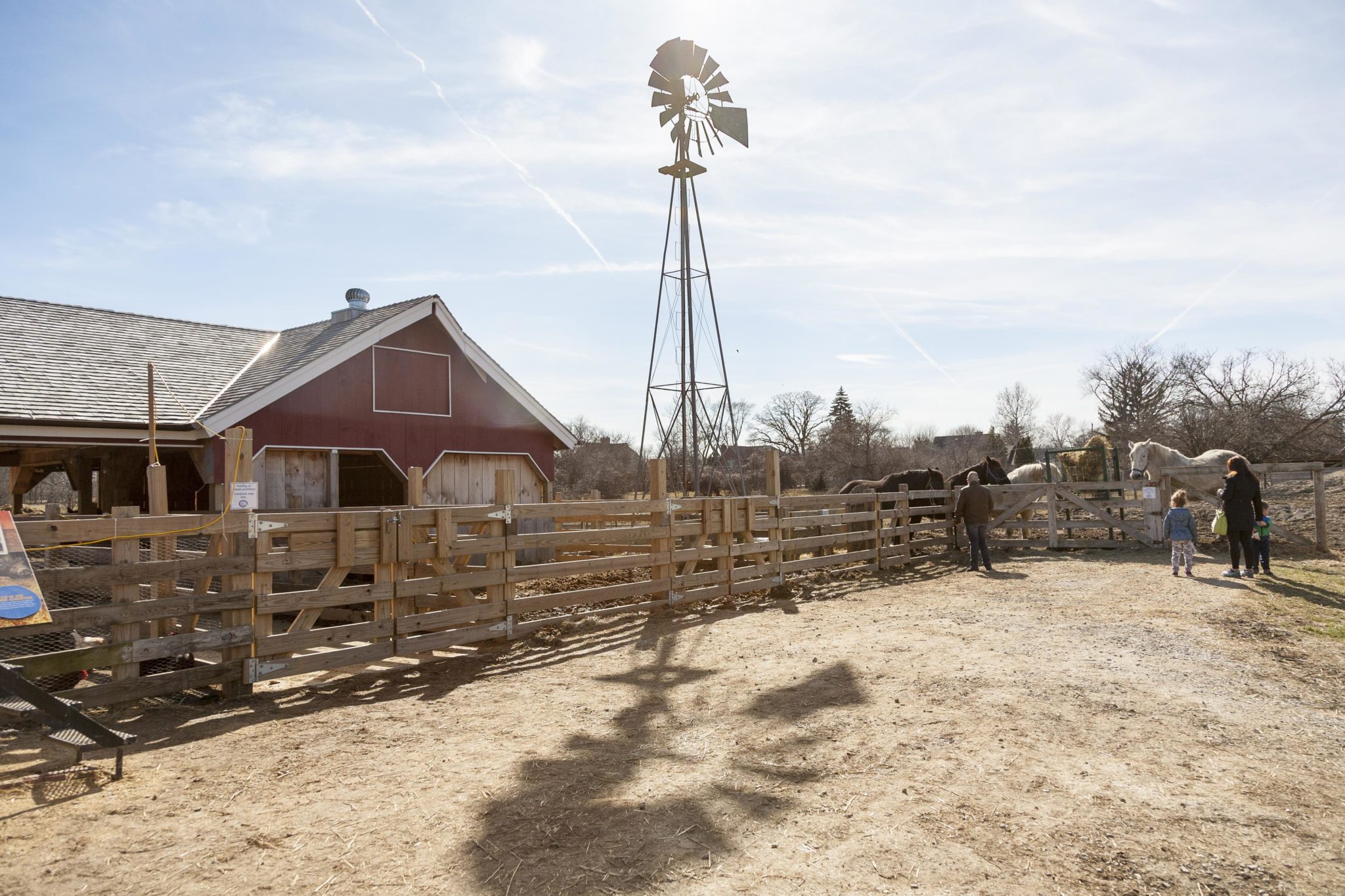 Historic Wagner Farm - On the sixth day of Museum Objects, Historic Wagner  Farm gives to you…six eggs for weighing (on this egg scale). Patented in  1940, the “Jiffy Way” egg weighing